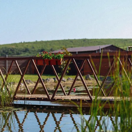 Megnyugtat-lak Apartmanhaz
